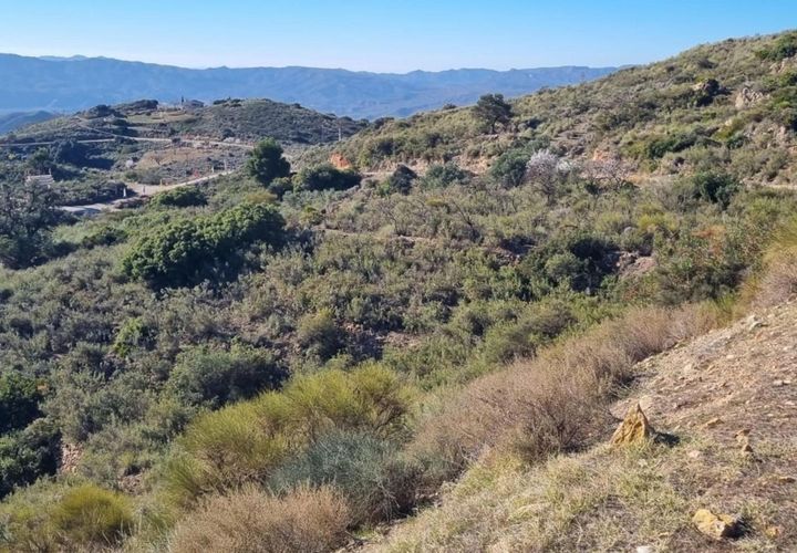 Finca i Bedar, Almeria, Bedar - € 59.000 | Ref: 2672 - foto 1