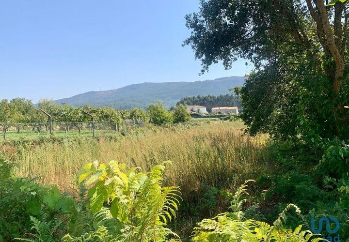 Terra a Caminha, Viana do Castelo, Caminha - € 80.000 | Ref: 148012 - foto 1