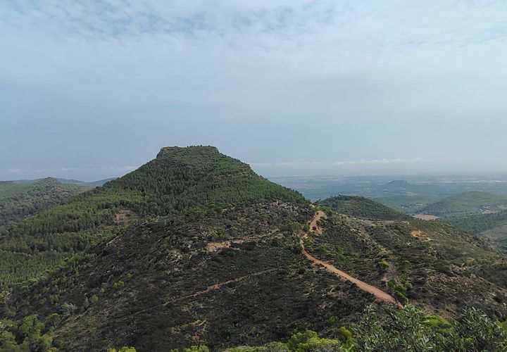 Terra a Segart, Valencia, Segart - € 17.500 | Ref: EXP11085/8930 - foto 1