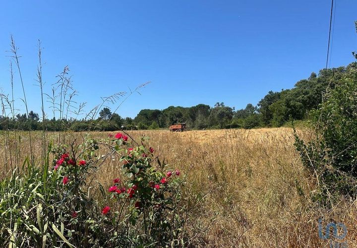 Helårsgrund i Aveiro, Aveiro, Aveiro - € 110.000 | Ref: 147765 - foto 1