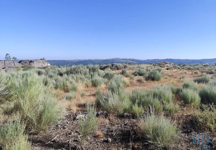 Terra a Sernancelhe, Viseu, Sernancelhe - € 60.000 | Ref: 147141 - foto 1