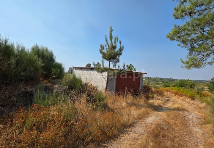 Farm i Seia, Guarda, Seia - € 130.000 | Ref: 382250089 - foto 1