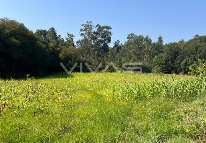 Helårsgrund i Vila Verde, Braga, Vila Verde - € 35.000 | Ref: 01-3607 - foto 1