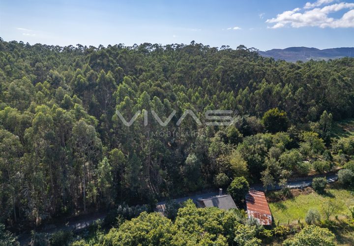 Helårsgrund i Ponte de Lima, Viana do Castelo, Ponte de Lima - € 12.000 | Ref: 01-3672 - foto 1