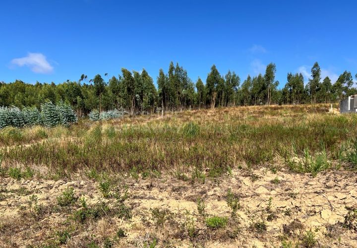 Helårsgrund i Torres Vedras, Lisbon, Torres Vedras - € 70.000 | Ref: SS_0044 - foto 1