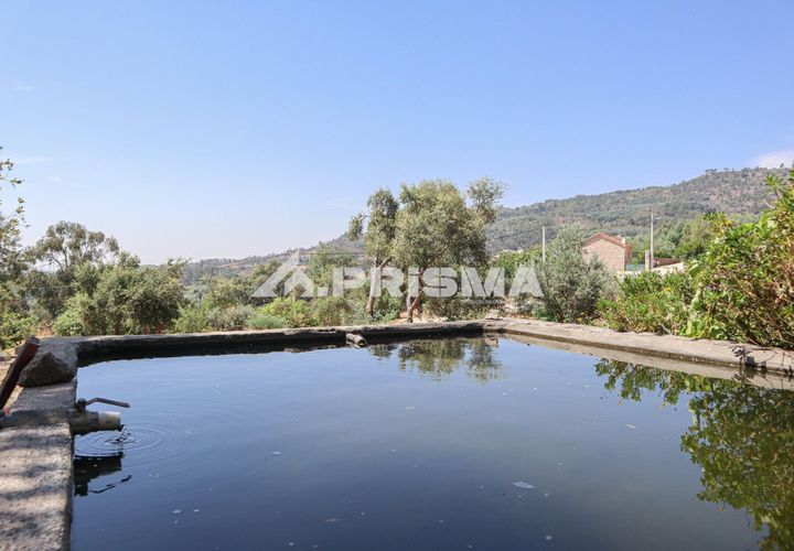 Farm i Castelo Branco, Castelo Branco, Castelo Branco - € 59.500 | Ref: PP4608 - foto 1
