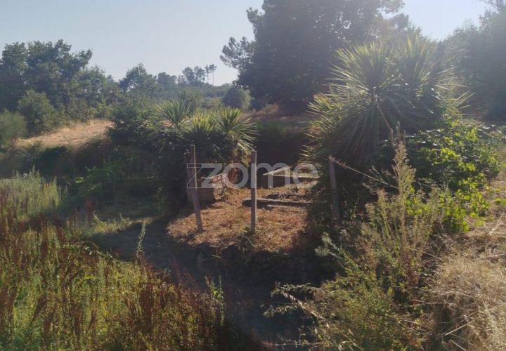 Helårsgrund i Mangualde, Viseu, Mangualde - € 67.500 | Ref: ZMPT580357 - foto 1