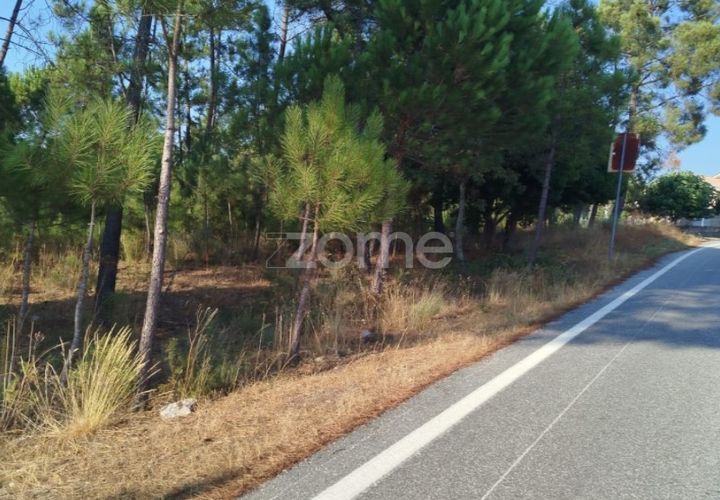 Helårsgrund i Mangualde, Viseu, Mangualde - € 33.500 | Ref: ZMPT580301 - foto 1