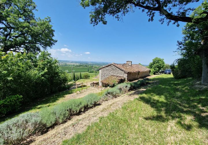 Terra a Monsegur, Lot-et-Garonne, Monsegur - € 80.000 | Ref: BVI77037 - foto 1