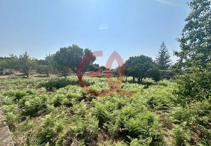 Helårsgrund i Viana do Castelo, Viana do Castelo, Viana do Castelo - € 255.000 | Ref: TER_1404 - foto 1