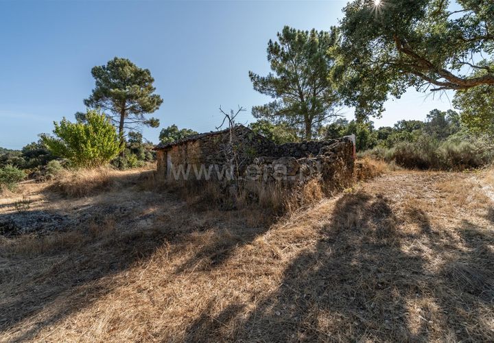 Helårsgrund i Fundao, Castelo Branco, Fundao - € 18.000 | Ref: 111250170 - foto 1