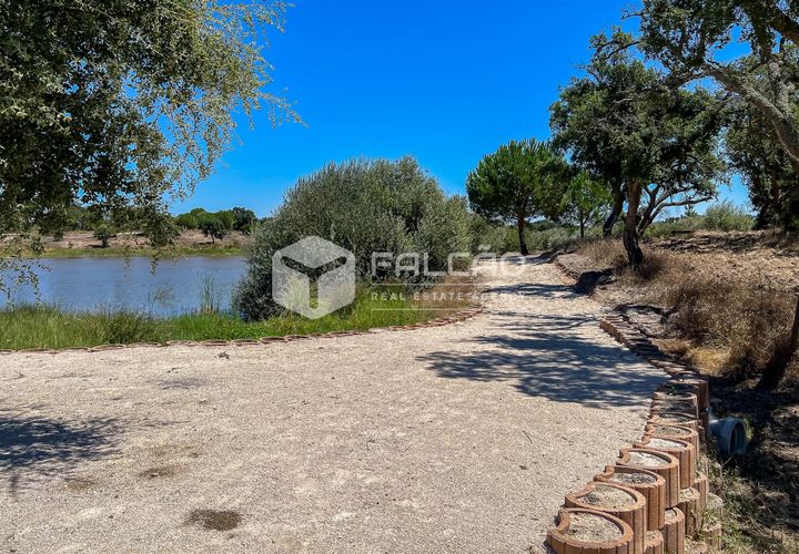 Terra a Benavente, Santarem, Benavente - € 9.500.000 | Ref: FR379 - foto 1