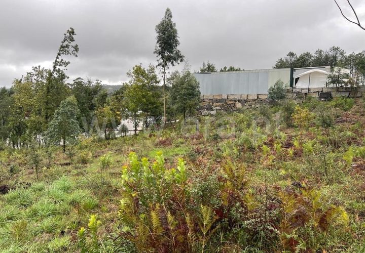 Helårsgrund i Mangualde, Viseu, Mangualde - € 90.000 | Ref: 389230211 - foto 1