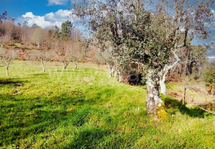 Helårsgrund i Mangualde, Viseu, Mangualde - € 14.000 | Ref: 389240034 - foto 1