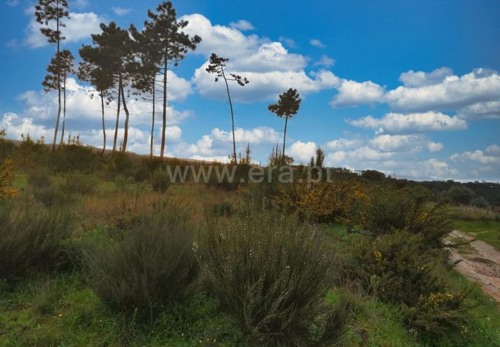 Terra a Nelas, Viseu, Nelas - € 19.900 | Ref: 389240100 - foto 1