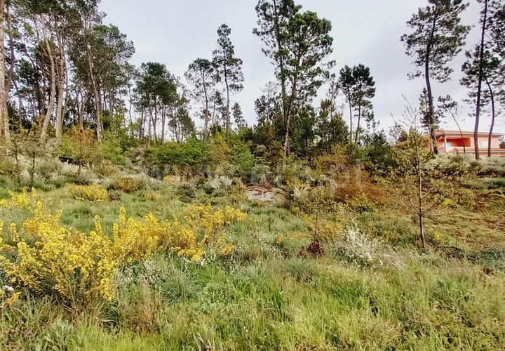 Helårsgrund i Viseu, Viseu, Viseu - € 38.000 | Ref: 389240044 - foto 1