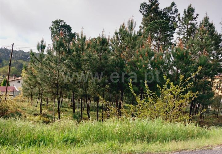 Helårsgrund i Viseu, Viseu, Viseu - € 38.000 | Ref: 389240043 - foto 1