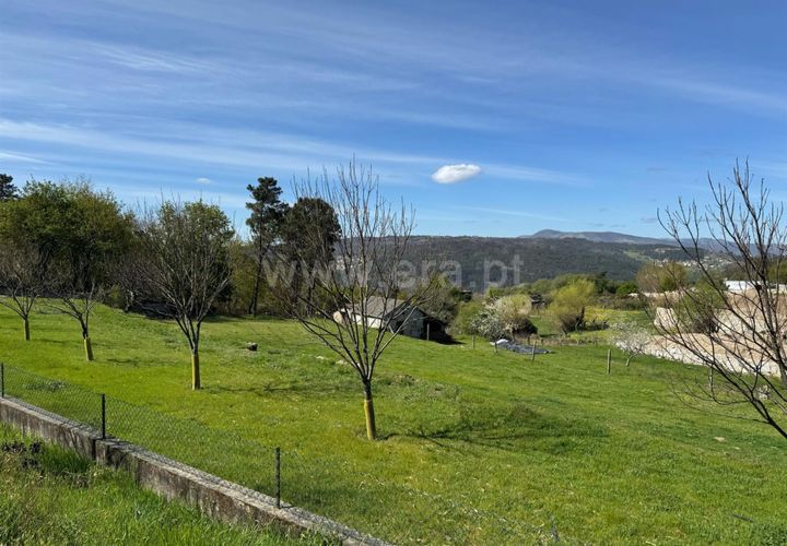 Helårsgrund i Castro Daire, Viseu, Castro Daire - € 550.000 | Ref: 389250082 - foto 1