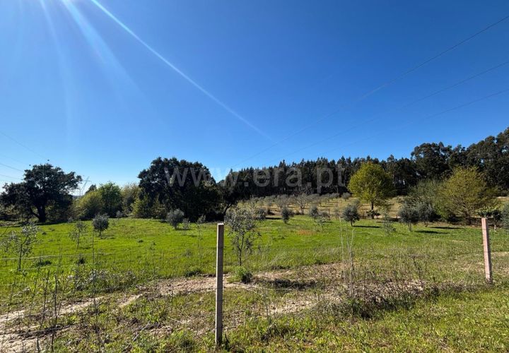 Erhvervsejendom i Tabua, Coimbra, Tabua - € 87.000 | Ref: 389250138 - foto 1