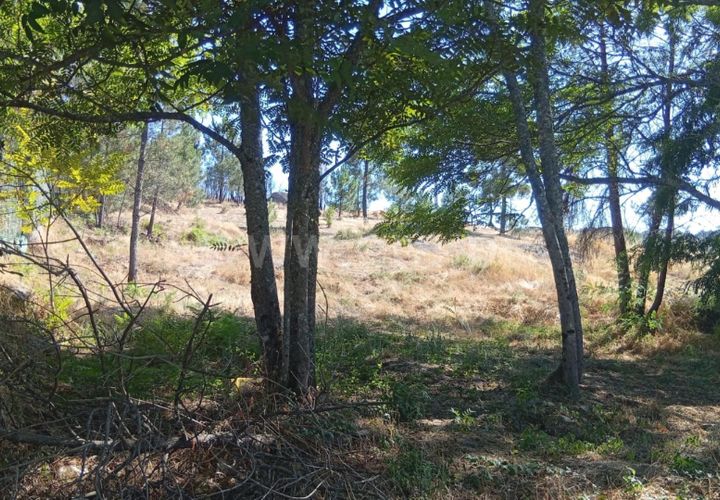 Helårsgrund i Mangualde, Viseu, Mangualde - € 17.000 | Ref: 389250180 - foto 1