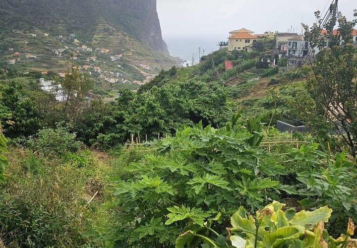 Tomt i Machico, Madeira, Machico - € 200 000 | Ref: 146637 - foto 1