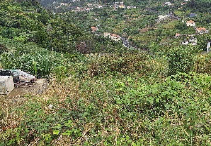 Helårsgrund i Machico, Madeira, Machico - € 160.000 | Ref: 146630 - foto 1