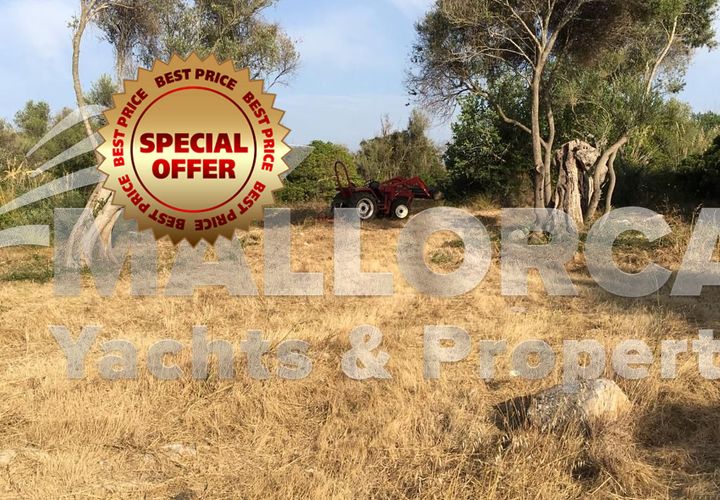 Tomt i Capdepera, Mallorca, Capdepera - € 380 000 | Ref: 31497 - foto 1