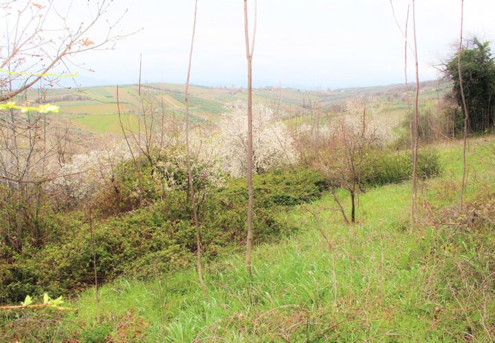 Erhvervsejendom i Mozzagrogna, Chieti, Mozzagrogna - € 12.000 | Ref: VT0541 - foto 1