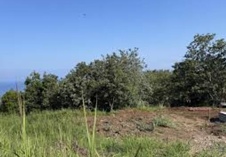 Terra a Brogliano, Vicenza, Brogliano - € 180.000 | Ref: 667 - foto 1