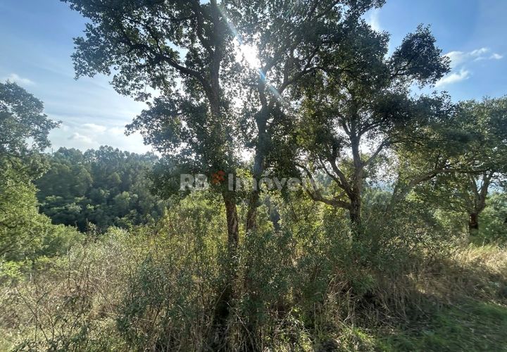 Helårsgrund i Tomar, Santarem, Tomar - € 15.000 | Ref: 01582-25 - foto 1