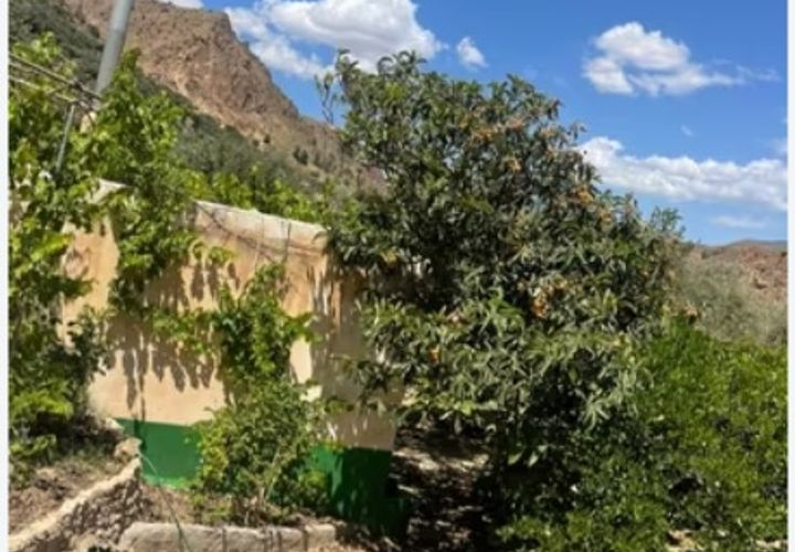 Finca i Izbor, Granada, Izbor - € 66.000 | Ref: 234 - foto 1