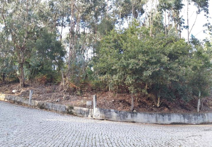Helårsgrund i Vila do Conde, Porto, Vila do Conde - € 400.000 | Ref: EX02027 - foto 1