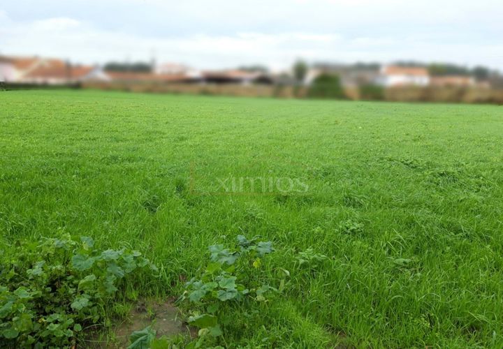 Helårsgrund i Vila do Conde, Porto, Vila do Conde - € 640.000 | Ref: EX02047 - foto 1