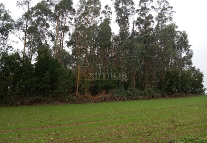 Helårsgrund i Vila do Conde, Porto, Vila do Conde - € 800.000 | Ref: EX01768 - foto 1