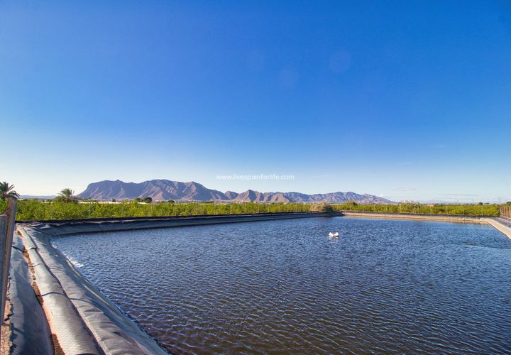 Helårsgrund i Albatera, Alicante, Albatera - € 240.000 | Ref: Alba Plot ML - foto 1