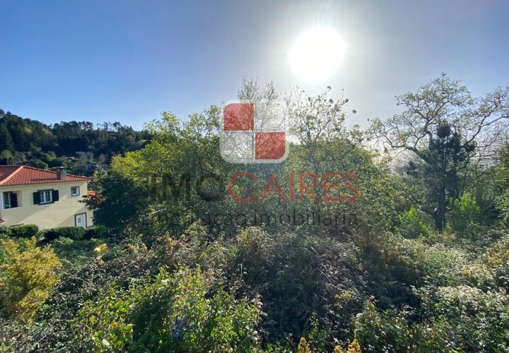 Terra a Camacha, Madeira, Camacha - € 135.000 | Ref: SOL_4706 - foto 1