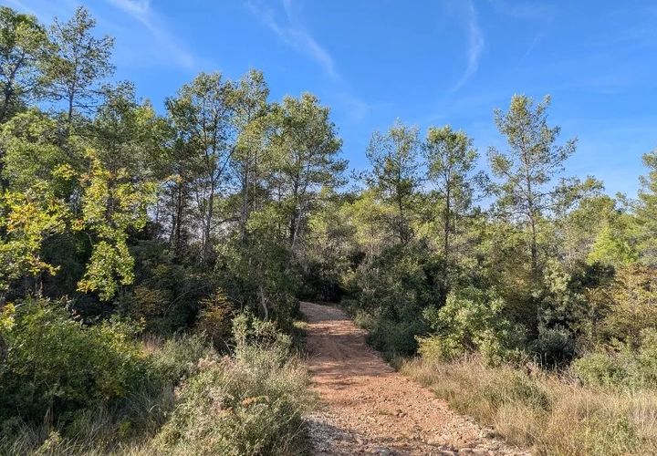 Terra a Carcès, Var, Carcès - € 9.900 | Ref: 3538 - foto 1