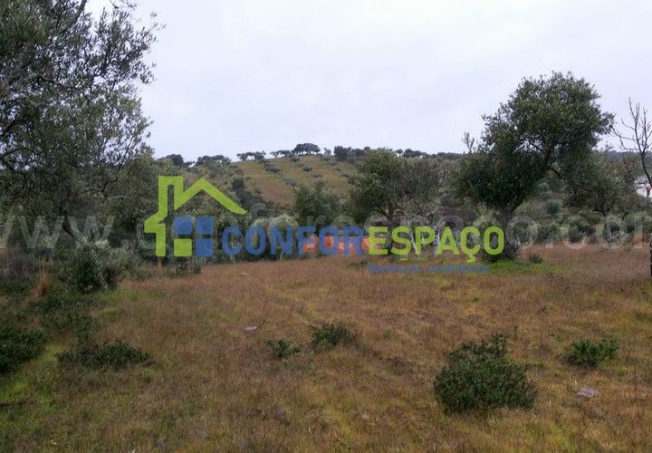 Helårsgrund i Castelo Branco, Castelo Branco, Castelo Branco - € 29.900 | Ref: 15045 - foto 1