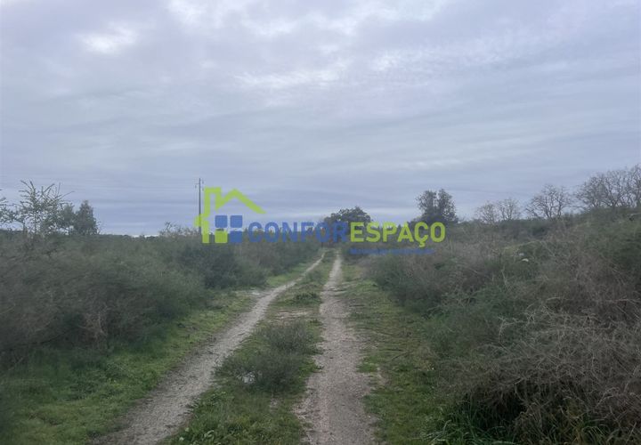 Helårsgrund i Castelo Branco, Castelo Branco, Castelo Branco - € 419.500 | Ref: 24007 - foto 1