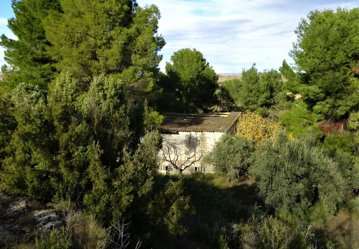 Finca i Caspe, Zaragoza, Caspe - € 29.500 | Ref: 0976 - foto 1