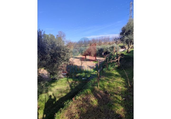 Farm i Ferro, Castelo Branco, Ferro - € 25.000 | Ref: 44008/25COV - foto 1