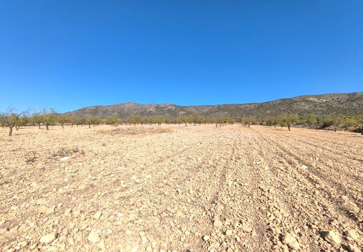 Helårsgrund i Monovar, Alicante, Monovar - € 55.000 | Ref: 70066 - foto 1