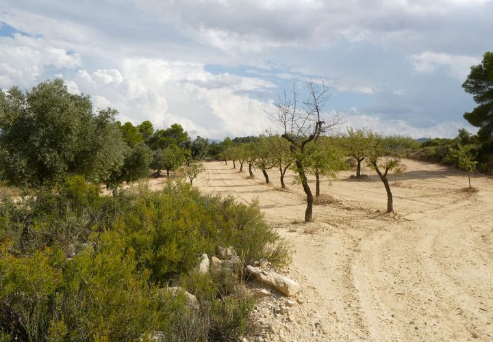 Finca i Calaceite, Teruel, Calaceite - € 7.500 | Ref: 1089 - foto 1
