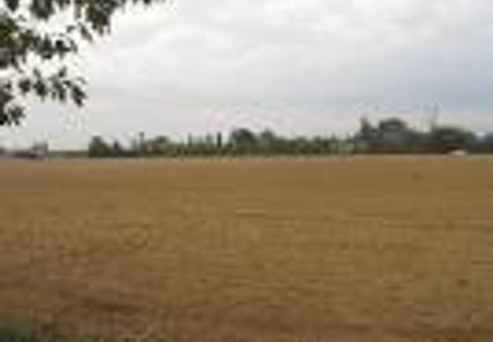 Terra a Borgoricco, Padua, Borgoricco - € 99.000 | Ref: S.E.TE3322 - foto 1