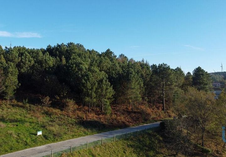 Terra a Castro Daire, Viseu, Castro Daire - € 19.500 | Ref: 107003 - foto 1