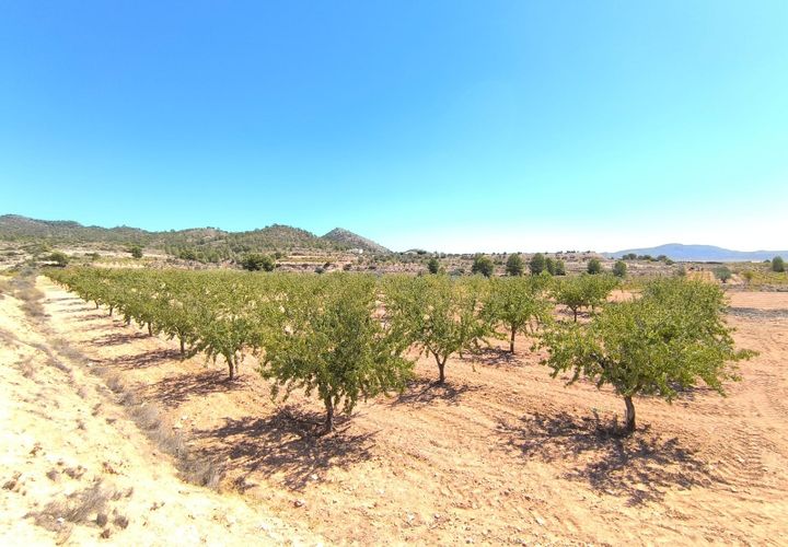 Helårsgrund i Monovar, Alicante, Monovar - € 23.990 | Ref: 70074 - foto 1