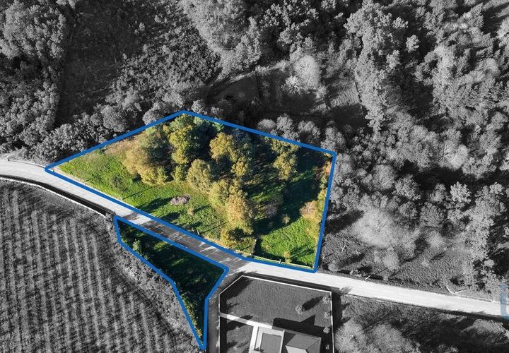 Terra a Castro Daire, Viseu, Castro Daire - € 34.500 | Ref: 106819 - foto 1