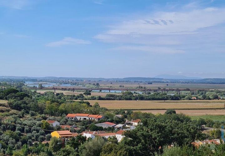Terra a Chamusca, Santarem, Chamusca - € 36.000 | Ref: 148612 - foto 1
