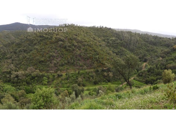 Helårsgrund i Monchique, Faro, Monchique - € 18.000 | Ref: AR00471 - PT - foto 1