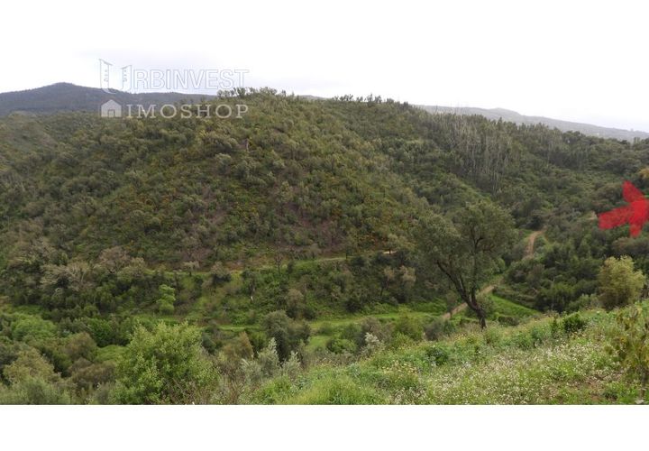Helårsgrund i Monchique, Faro, Monchique - € 15.000 | Ref: AR00470 - PT - foto 1